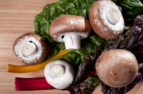 Champignon der Champion im Handel