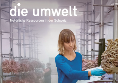 nichts geht verloren