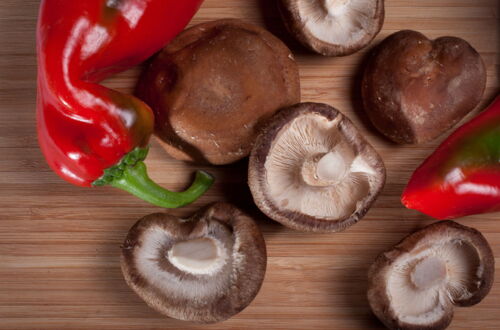 Shiitake der würzige Asiate..